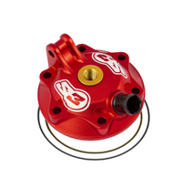 S3 - Enduro Cylinder Head Kit Beta 18-21 300